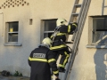 vaja (15)