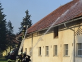 vaja (16)