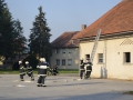 vaja (18)