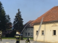 vaja (22)