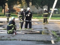 vaja (25)
