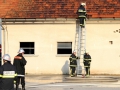 vaja (27)