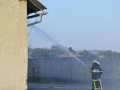 vaja (29)
