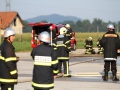 vaja (39)