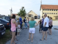 vaja (49)