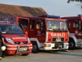 vaja (57)