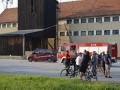 vaja (58)