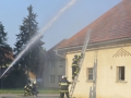 vaja (7)